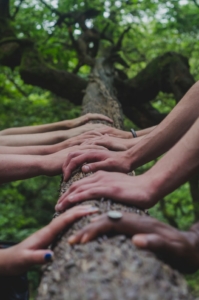 handen op boom, vertrouwen in de samenwerking